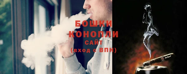 шишки Инсар