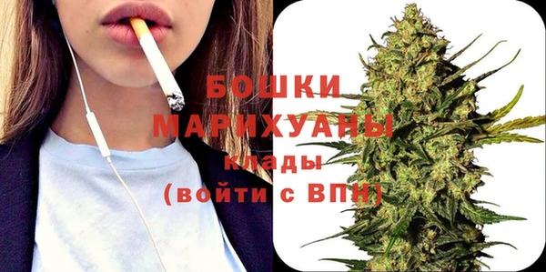 шишки Инсар