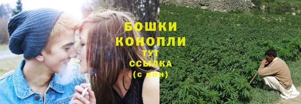 шишки Инсар