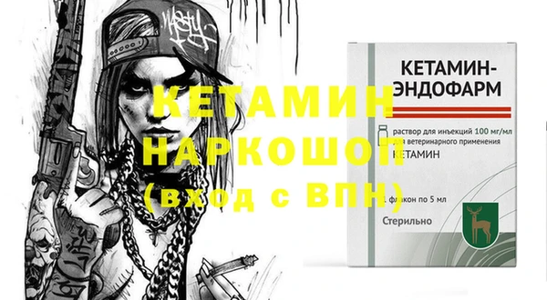 шишки Инсар