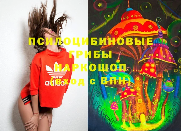 МДМА Инта