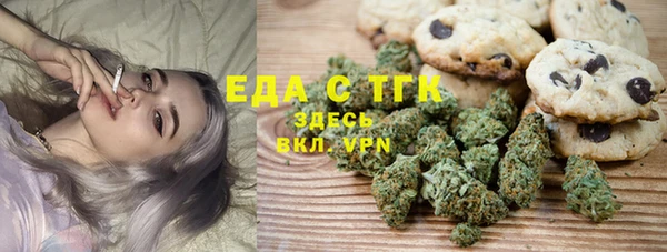 шишки Инсар