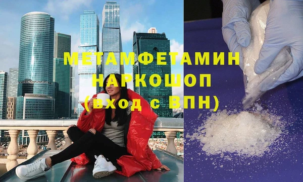 шишки Инсар