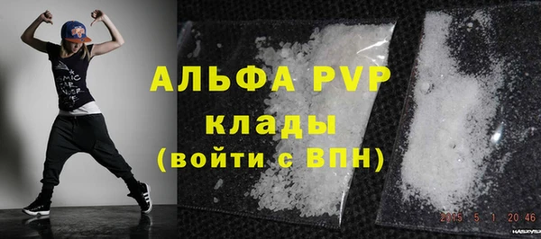 шишки Инсар