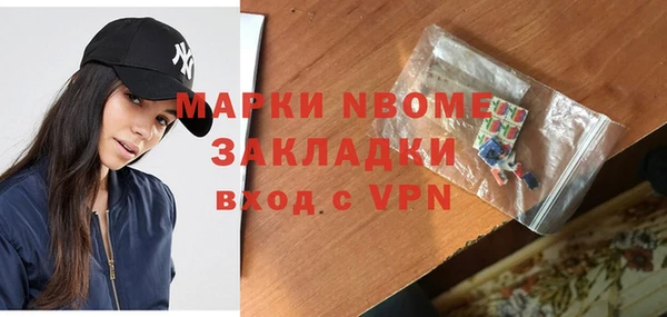 шишки Инсар