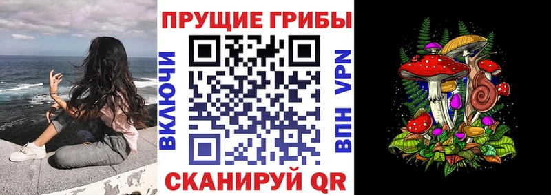 Купить Уварово Галлюциногенные грибы мухоморы